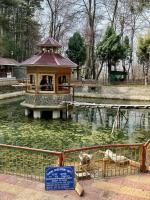 HH Swamijis visit to Vivekananda Kendra, Nagdandi, Srinagar (10th March 2026)